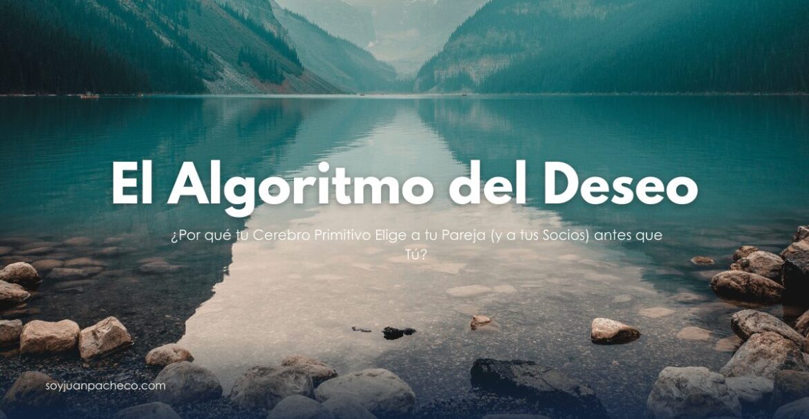 Escaneo cerebral resaltando el sistema límbico y el tronco encefálico durante una negociación.