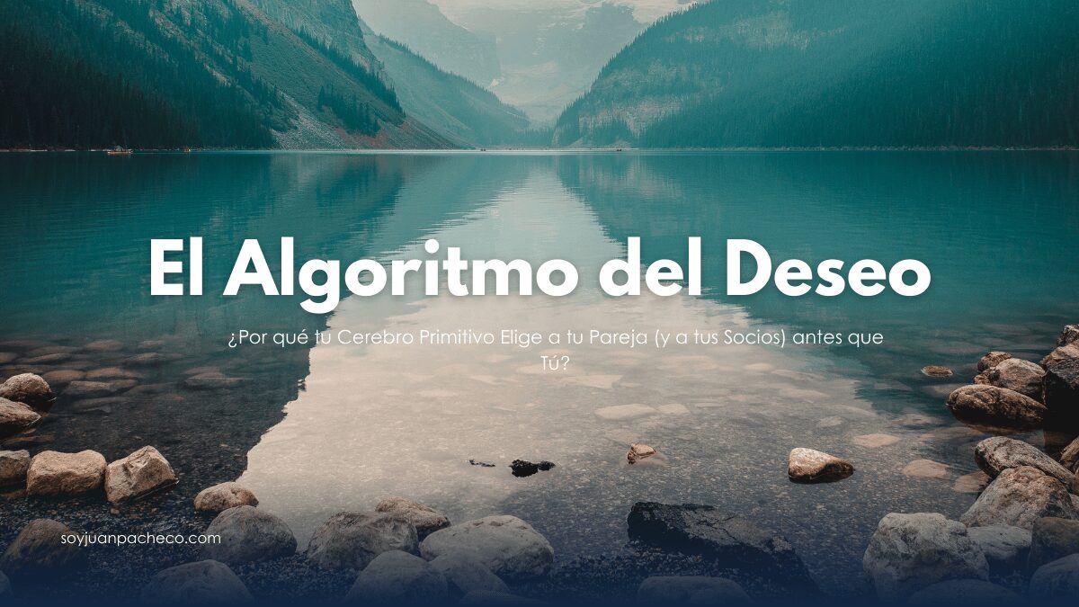 Escaneo cerebral resaltando el sistema límbico y el tronco encefálico durante una negociación.