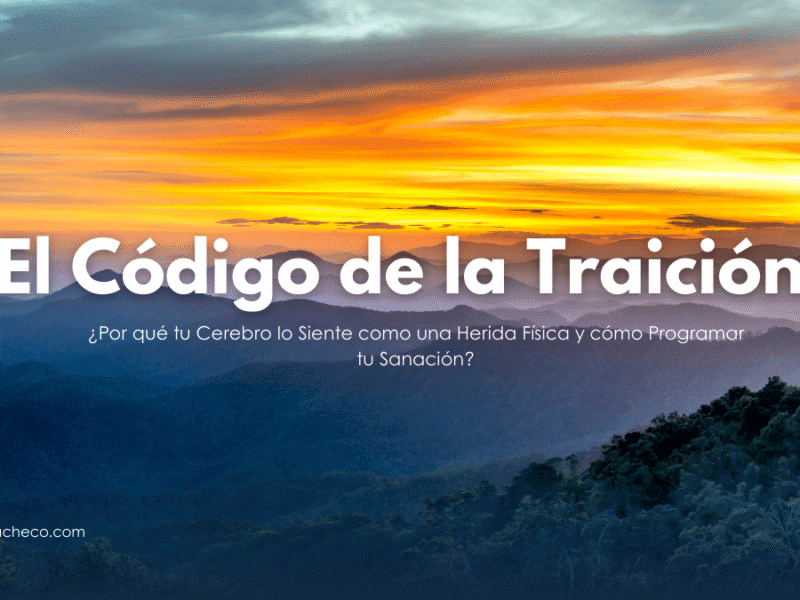 Escaneo cerebral que muestra la activación de la corteza cingulada anterior durante una traición.