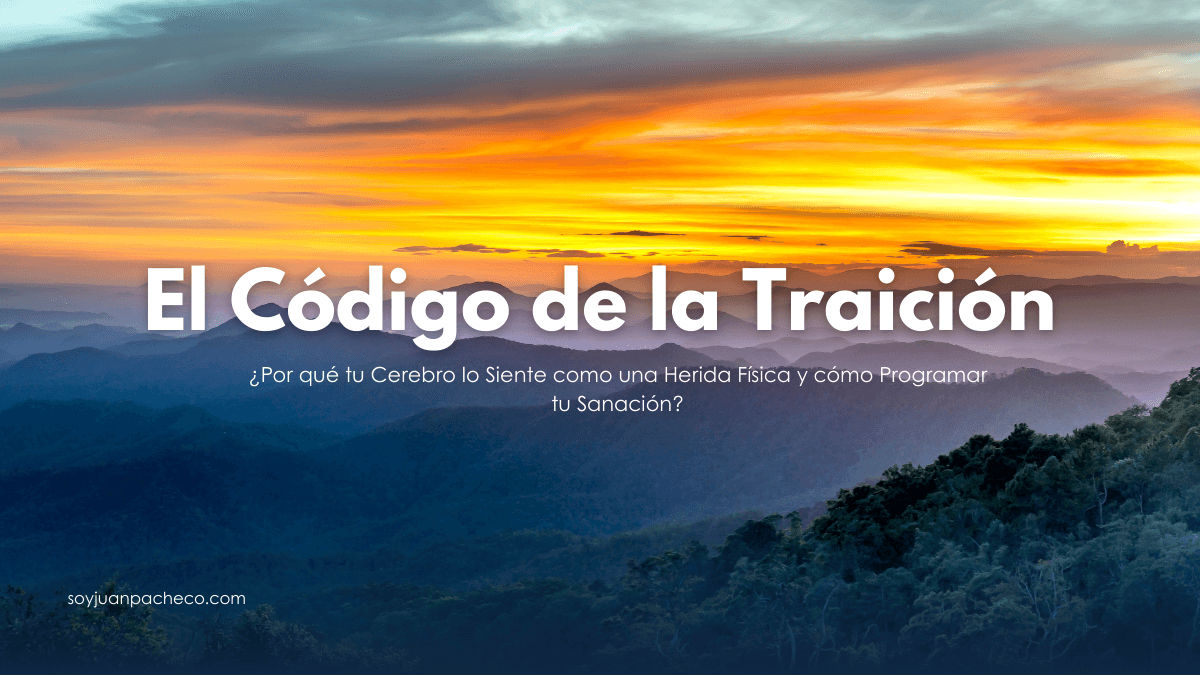 Escaneo cerebral que muestra la activación de la corteza cingulada anterior durante una traición.