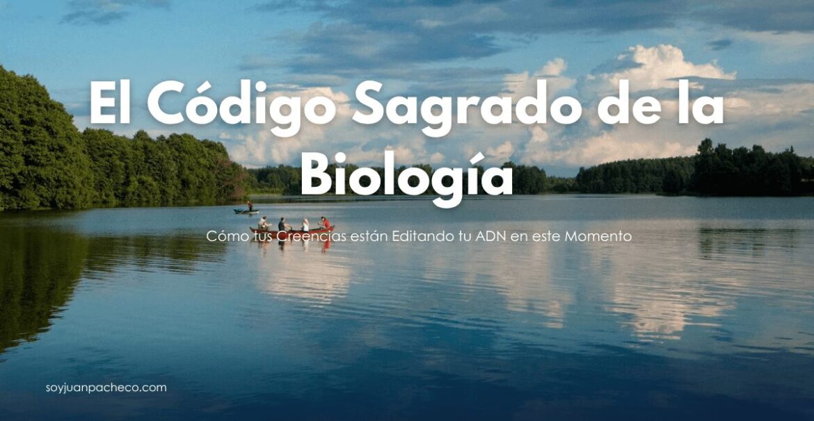 El Dr. Bruce Lipton, pionero en biología de células madre, demostró que el destino de una célula no está determinado por su núcleo (el ADN), sino por el entorno